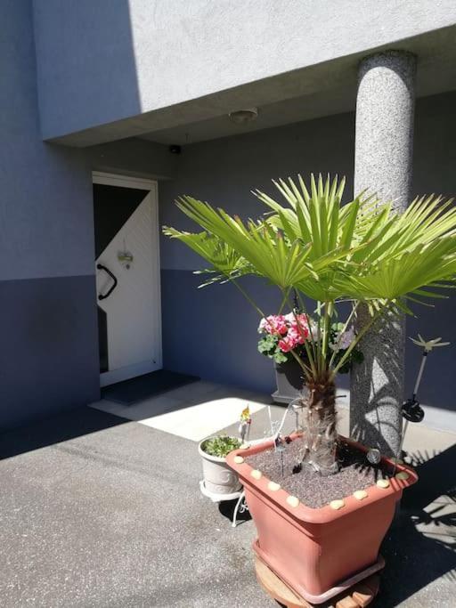 Appartement Agreable Haguenau Dış mekan fotoğraf