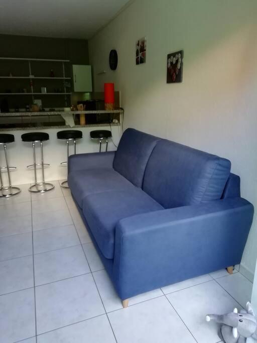 Appartement Agreable Haguenau Dış mekan fotoğraf